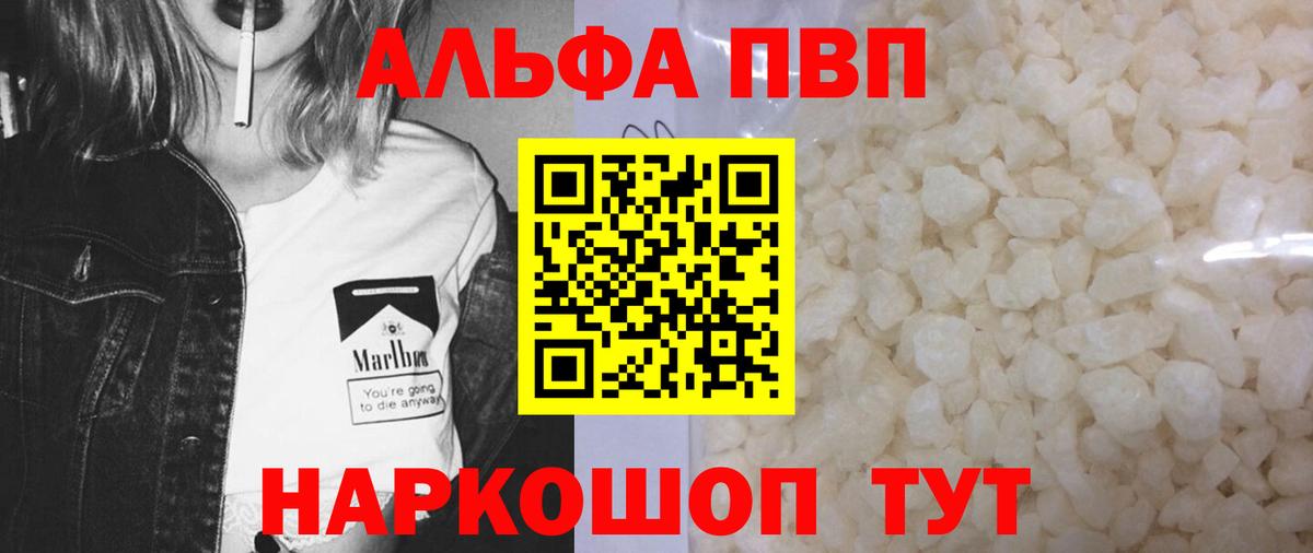 A PVP СК Будённовск