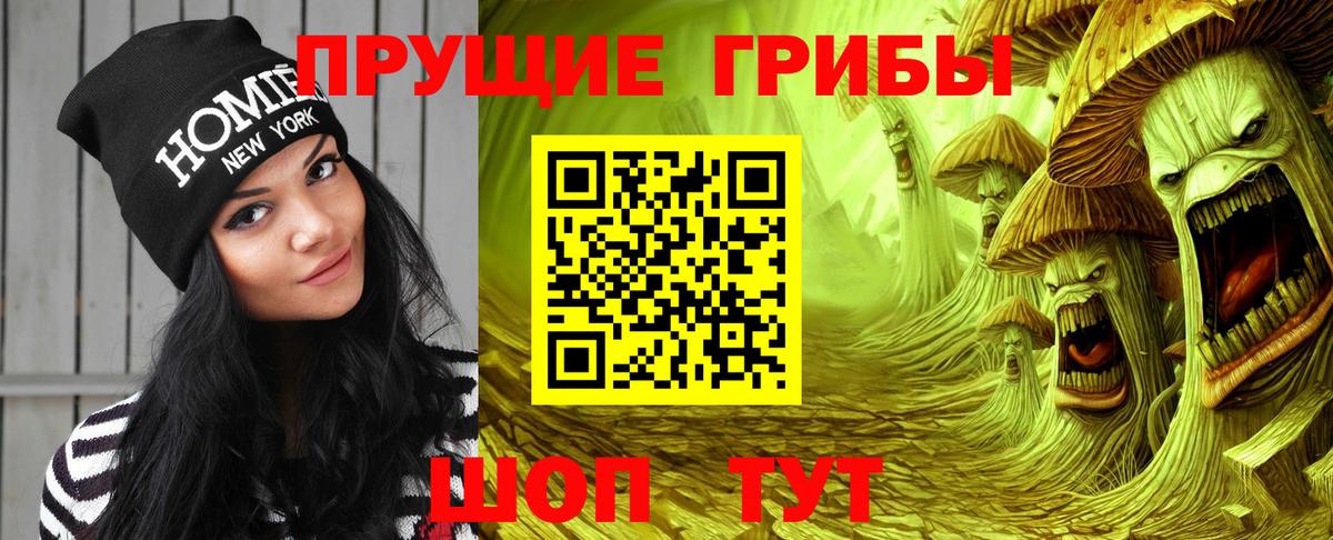Галлюциногенные грибы мухоморы Будённовск